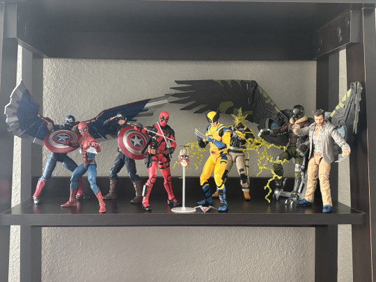 Display by mcu_collection