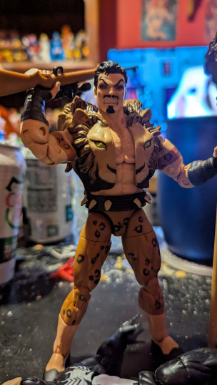 Display by Loganxdanstoys