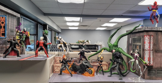 Display by What Do I Know