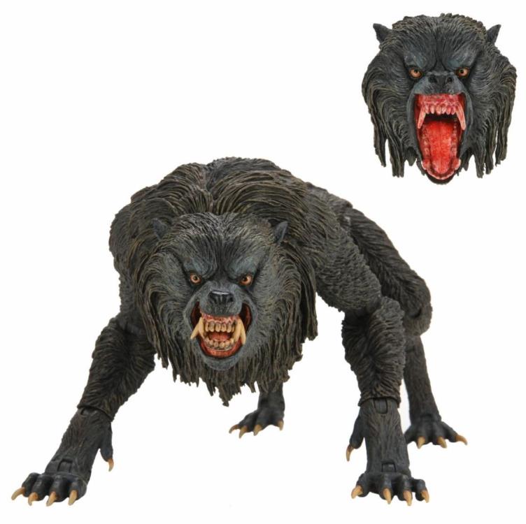 wolves
