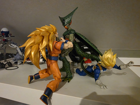 Display by Hazebox