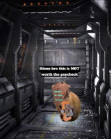 jayhon3116