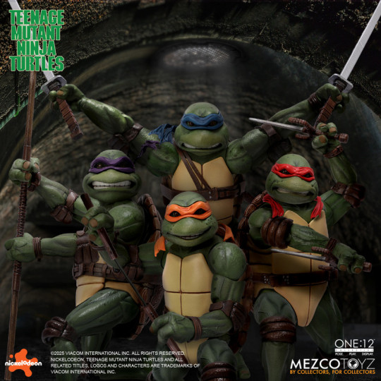 Teenage Mutant Ninja Turtles (1990) Boxed Set