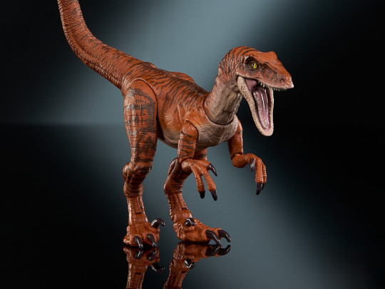 Velociraptor