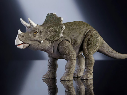 Juvenile Triceratops