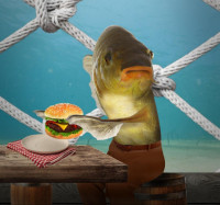 etherealfishhead