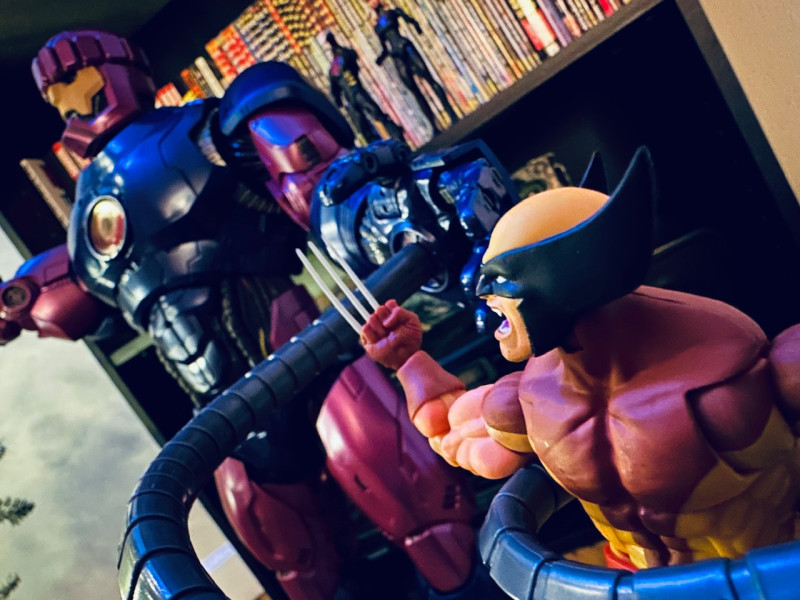 Collection win photo