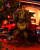 Doomguy999