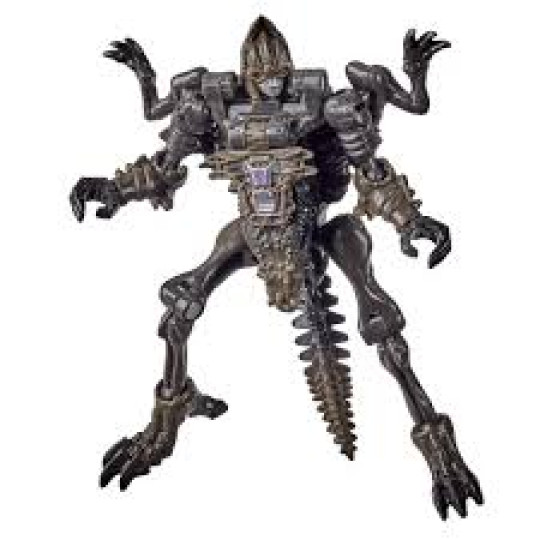 Vertebreak