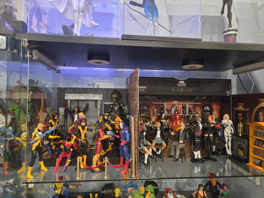 Display by domino_hawk