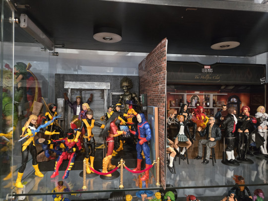 Display by domino_hawk