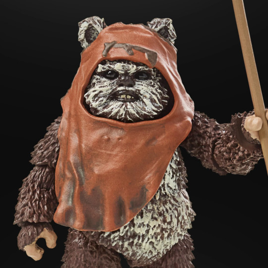 Wicket