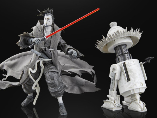 The Ronin & R5-D56 (Visions)