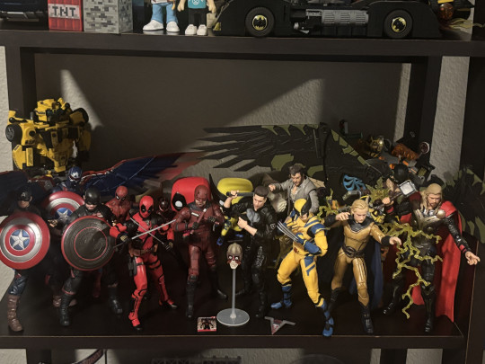 Display by mcu_collection
