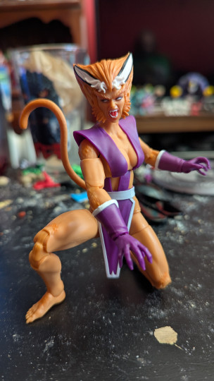 Display by Loganxdanstoys