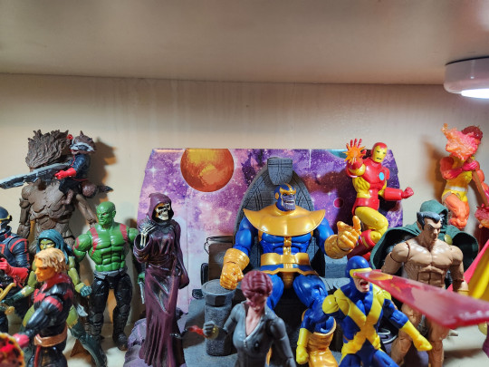 Display by Toylove1973