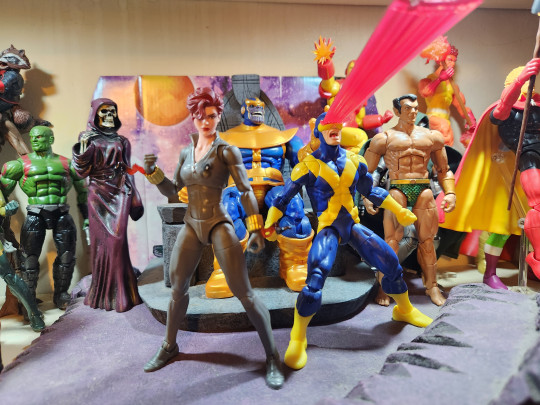 Display by Toylove1973