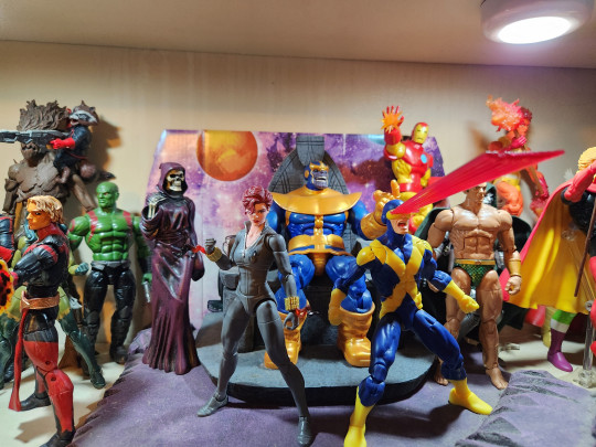 Display by Toylove1973