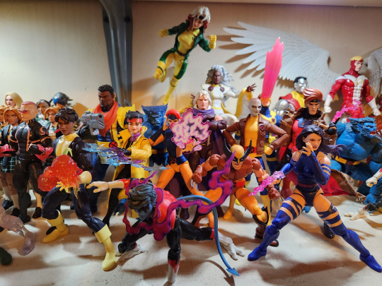 Display by Toylove1973