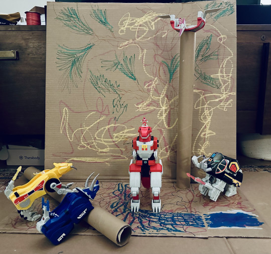 Collection Win