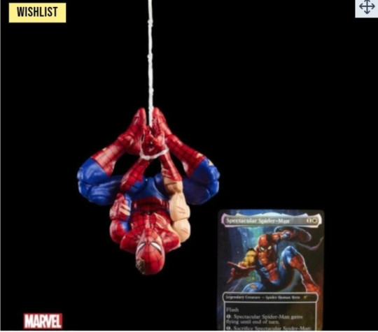 Display by Winter_Iys4