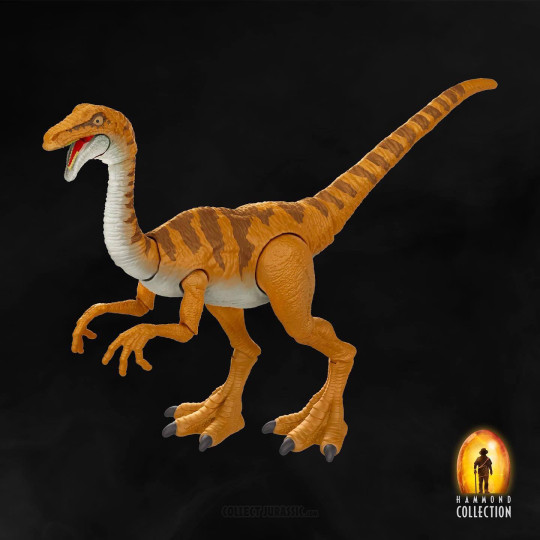 Gallimimus - The Hammond Collection