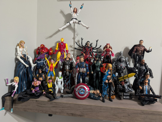 Display by Steve_White