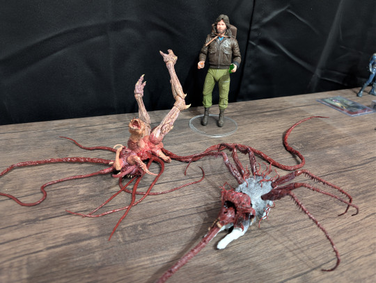 Display by Steve_White