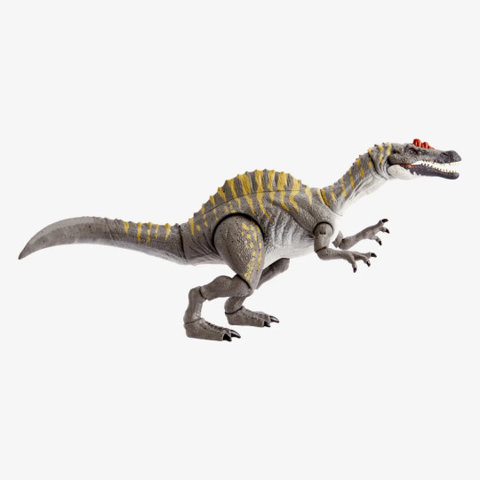 Irritator - The Hammond Collection