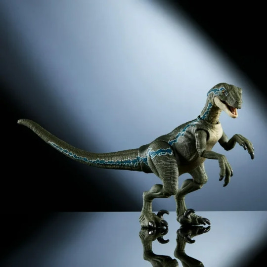 Velociraptor (Blue) - The Hammond Collection