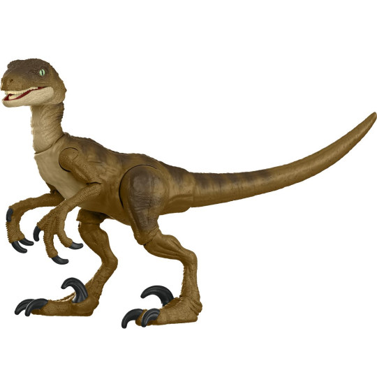 Velociraptor - The Hammond Collection