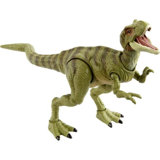 Tyrannosaurus Rex (Juvenile) - The Hammond Collection
