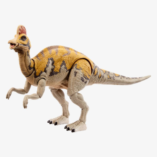 Corythosaurus - The Hammond Collection