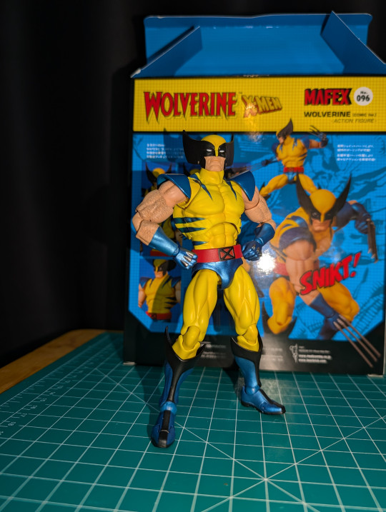 Collection Win