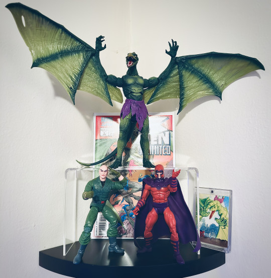 Collection Win