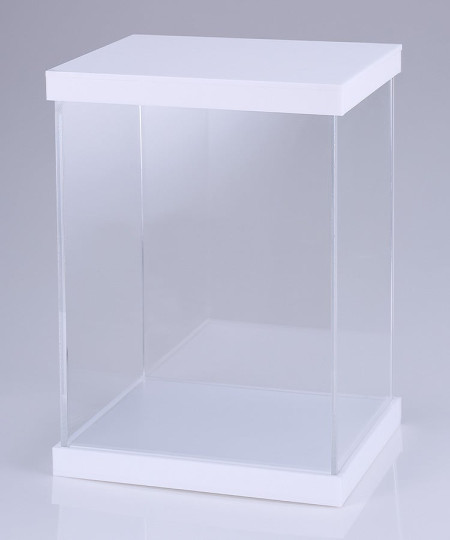 Display Case