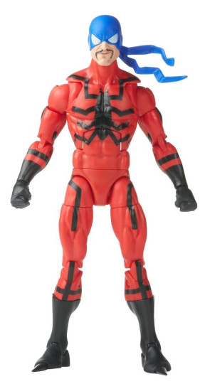 Display by Dondon: Tarantula