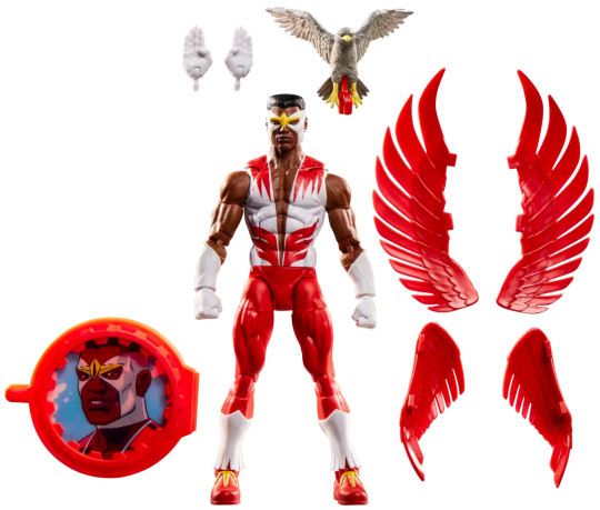 Display by Dondon: Falcon