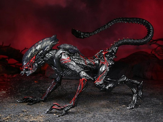 ALIENS - KENNER TRIBUTE NIGHT COUGAR ALIEN