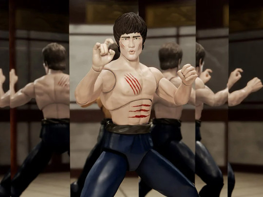 Bruce Lee The Fighter