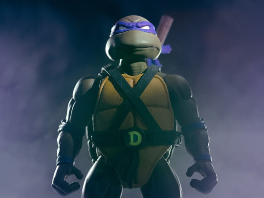 Teenage Mutant Ninja Turtles Donatello