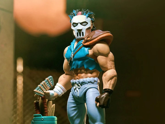 Teenage Mutant Ninja Turtles Casey Jones