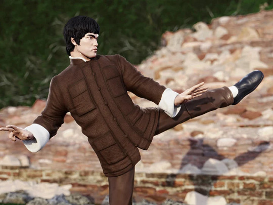 Bruce Lee The Contender