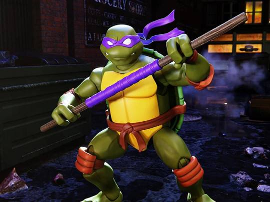 Teenage Mutant Ninja Turtles Donatello (2003 Animated Series)