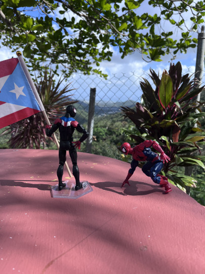Display by Cap_Mdr6