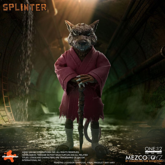 Splinter