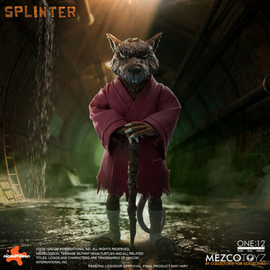 Splinter