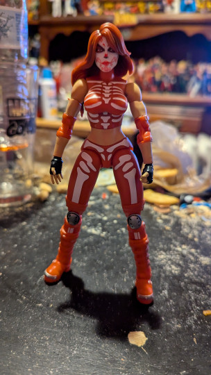 Display by Loganxdanstoys