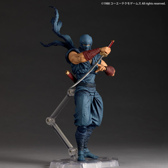 Ryu Hayabusa Ninja Gaiden Ver.
