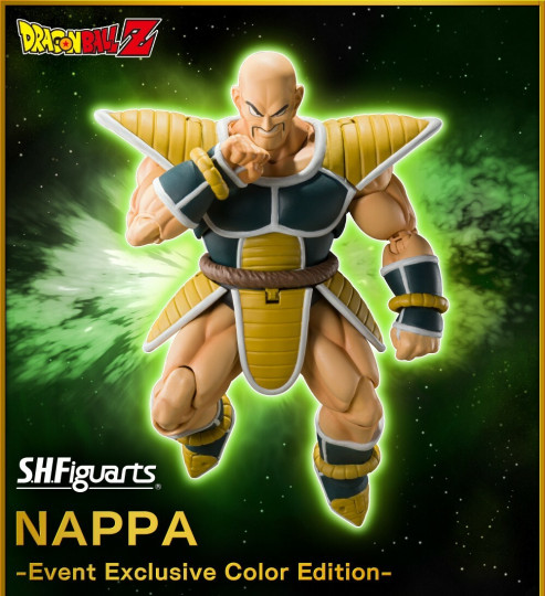 S.H.Figuarts 2021 checklist